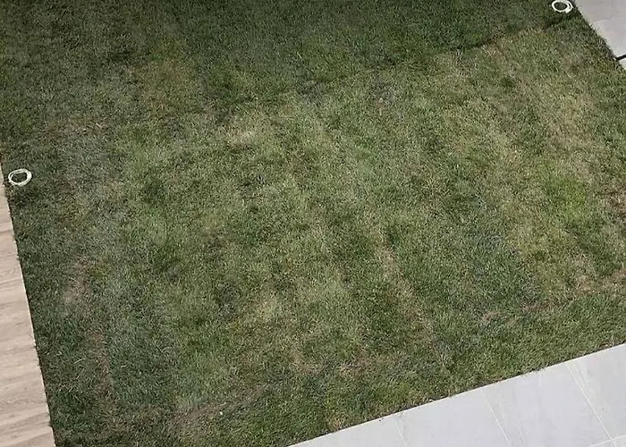 Medusa House Apartamento Nea Skioni